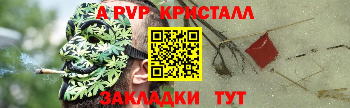 Alfa_PVP крисы CK Майкоп